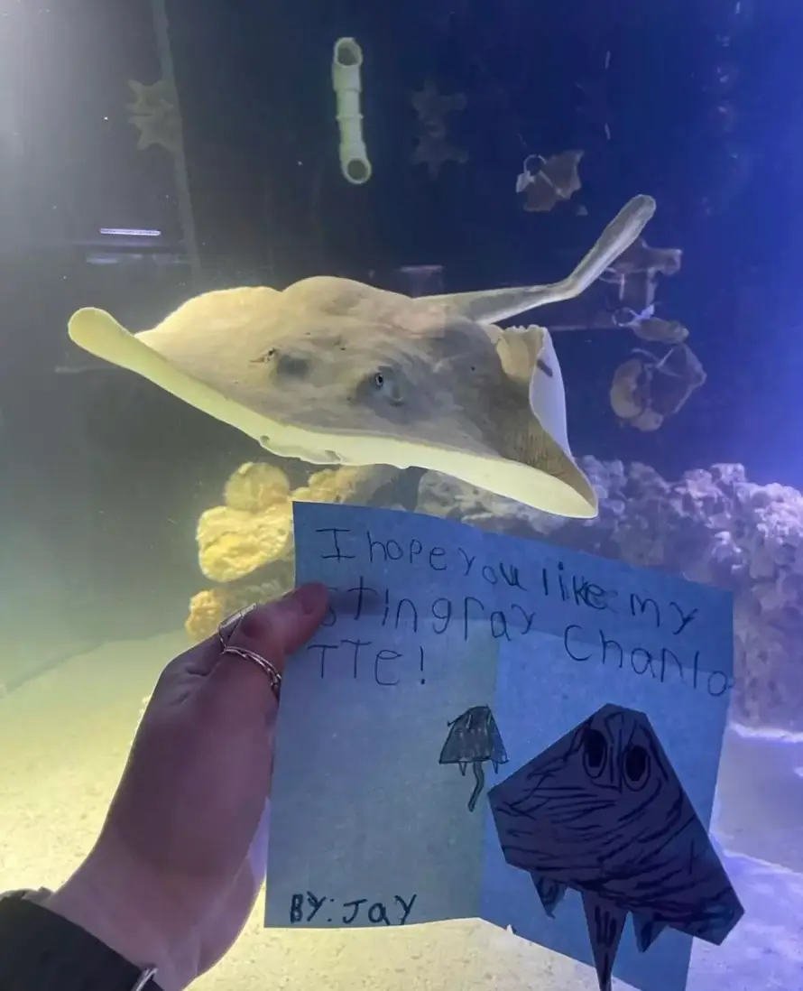 Fans flocked to see Charlotte at the aquarium in North Carolina (Team ECCO)