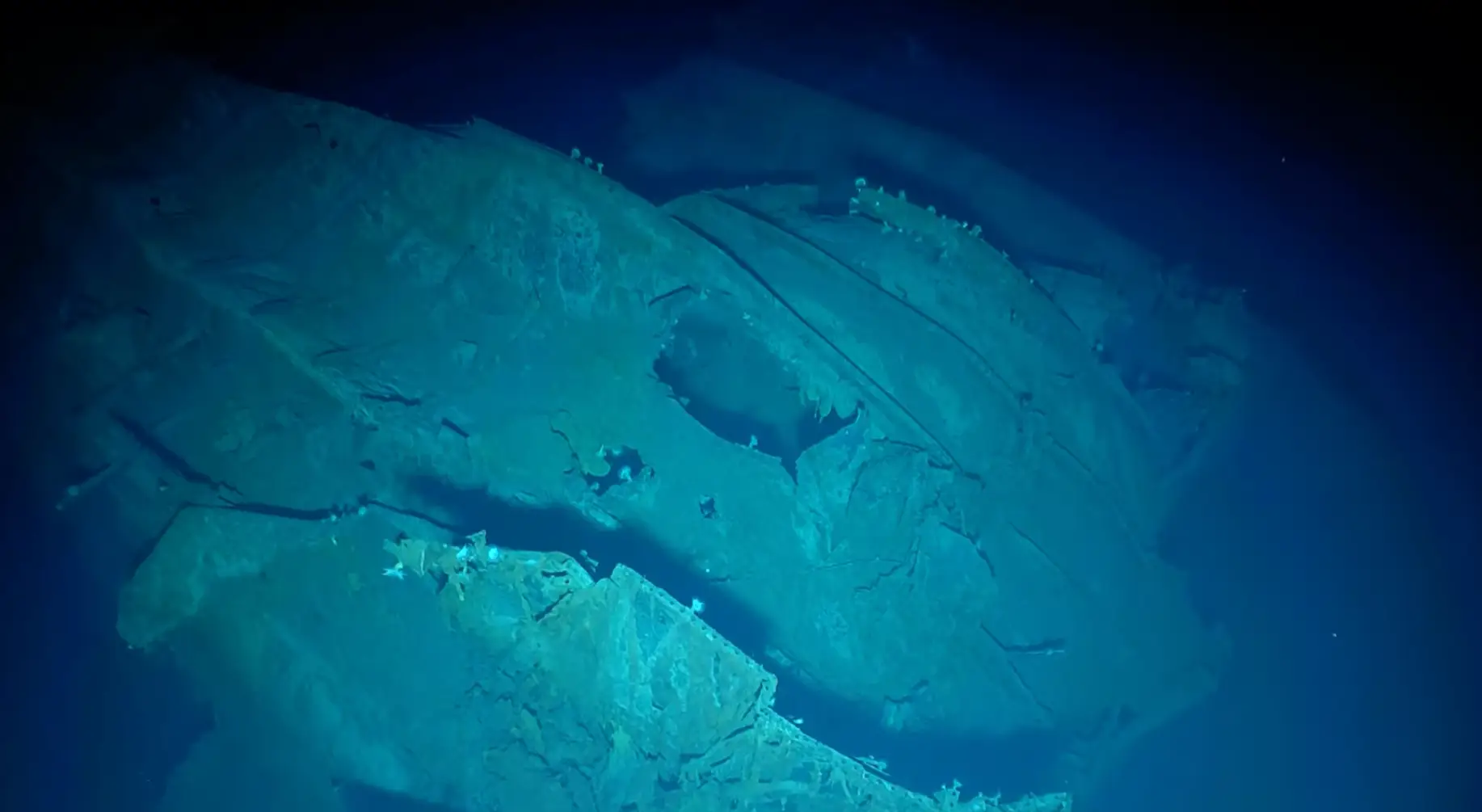 Archaeologists from Japan, the US and the rest of the world are said to have worked on the expedition.