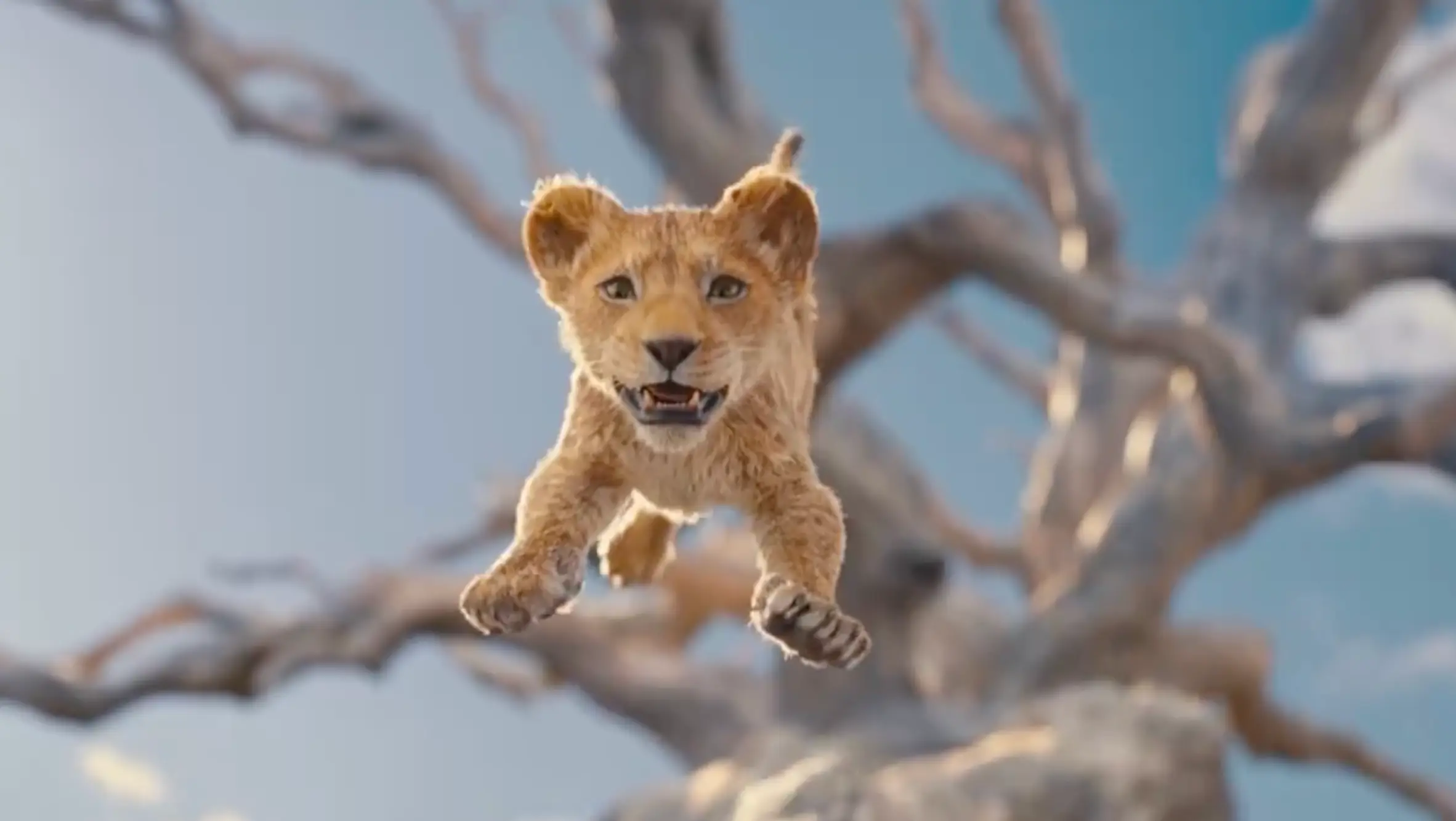 The film will focus on Mufasa rather than Simba this time. (Disney)