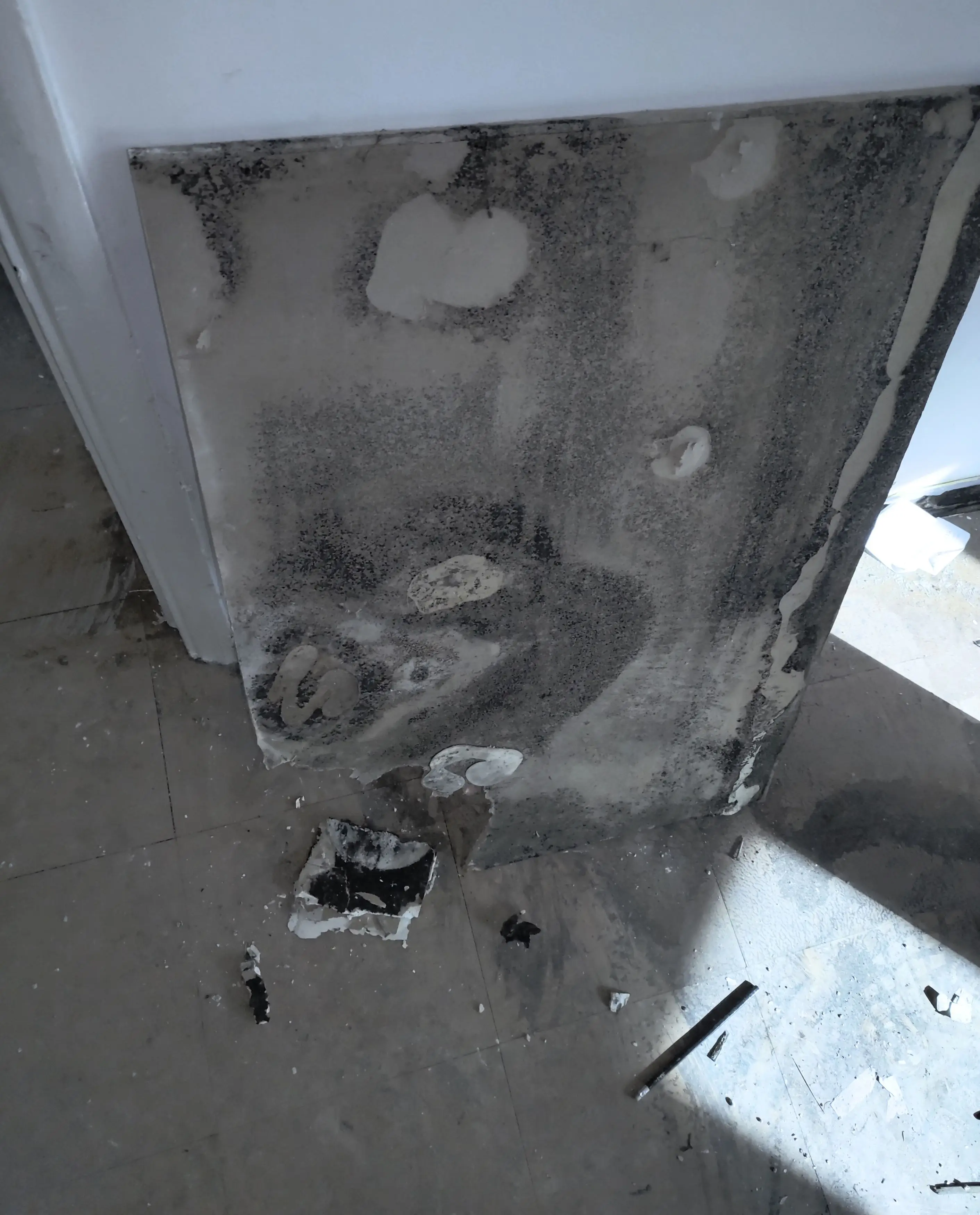 He claims the council say the flat is 'fit for living', forcing him to either stay or intentionally make himself homeless (Kennedy News and Media)