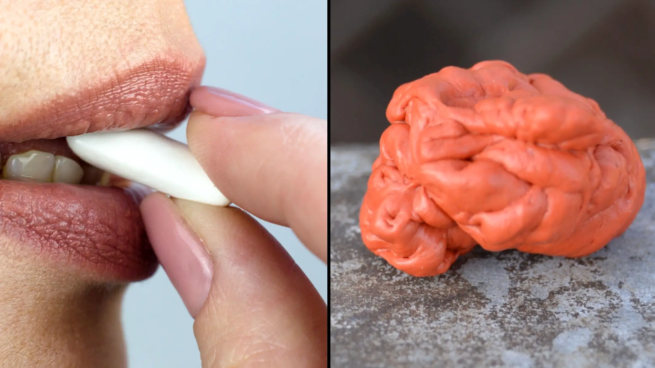 Alexey Emelyanov / Alamy Stock Photo Gevangart / Alamy Stock Photo