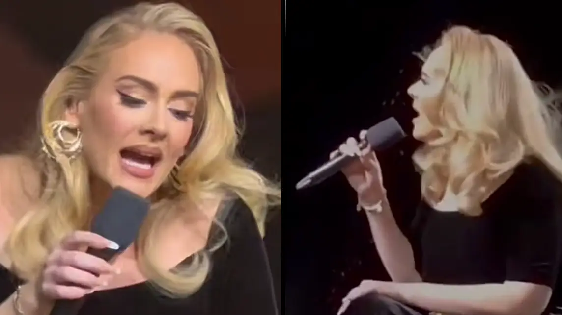  @sarahshippiehouse/ @adelesloves / TikTok