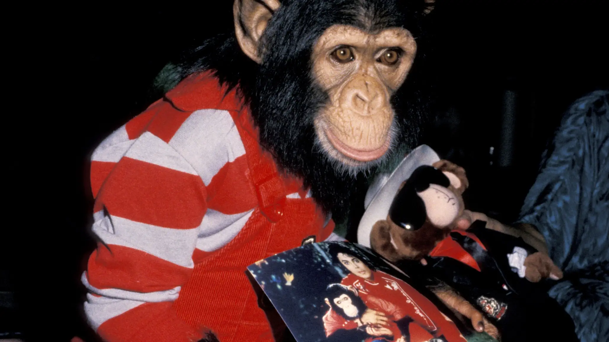Jim Smeal/Ron Galella Collection via Getty Images