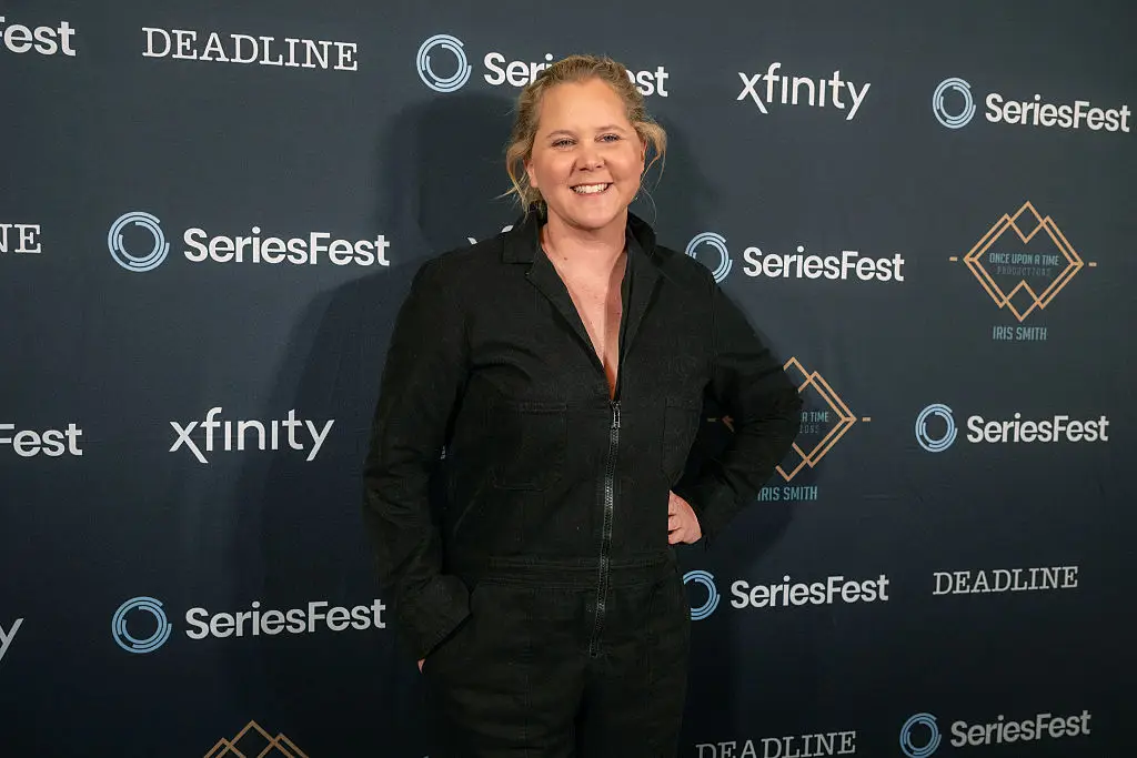 Schumer left the details to the audience's imagination (Tom Cooper/Getty Images for SeriesFest)