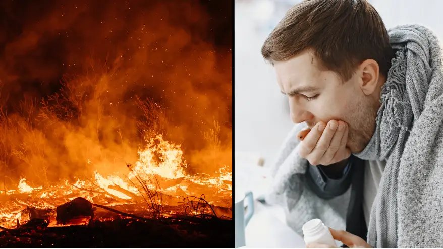 Svetlana Repnitskaya / Getty / Pexels