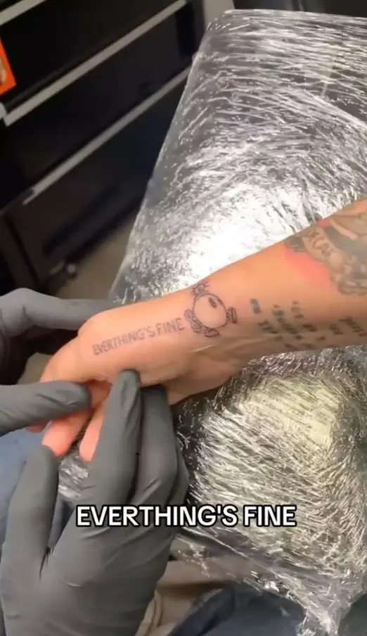 EVERTHINGS FINE (TikTok/theearthylama)