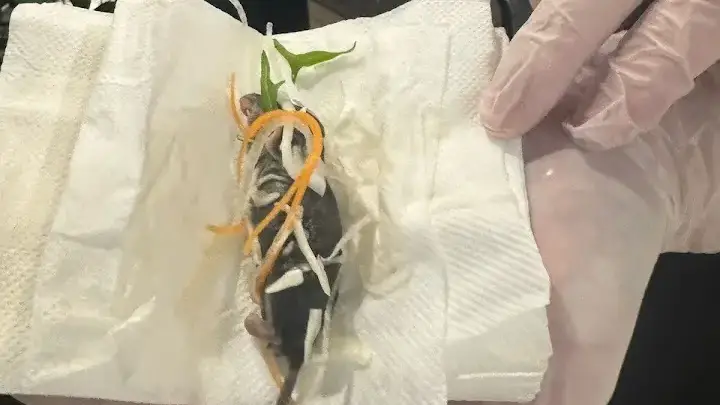 Daniel Kim / Google Reviews