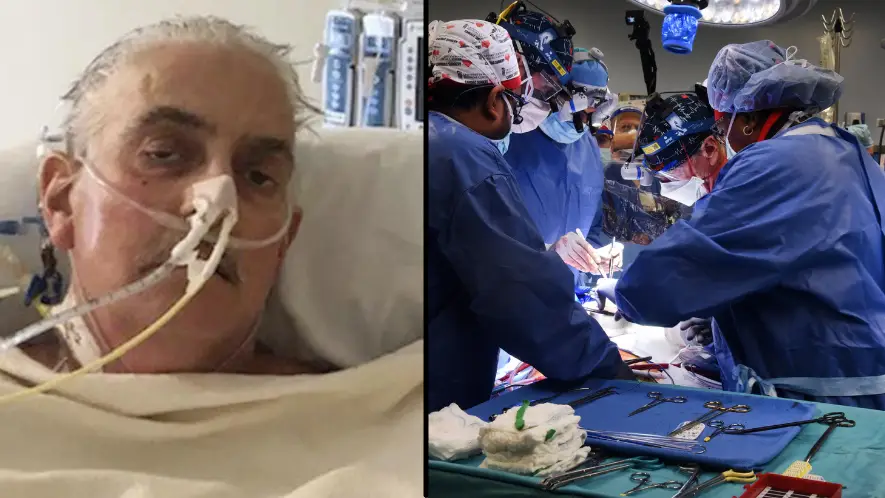 Man Who Became First Recipient Of Genetically Modified Pig Heart Transplant Has Died