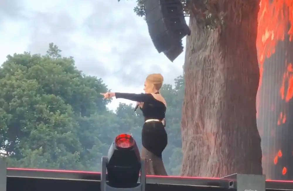 Fans praised Adele for looking after the crowd member.