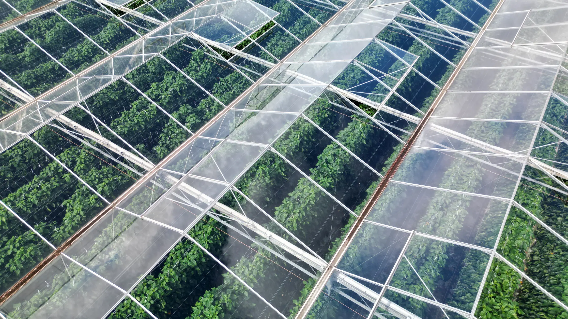 It could also have a wider impact on our ecosystems (Getty Stock Images)