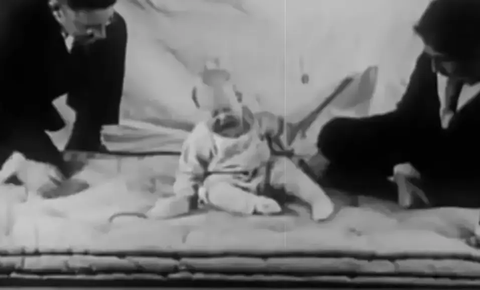 The child was conditioned to associate white rats with fear (Watson and Rayner)