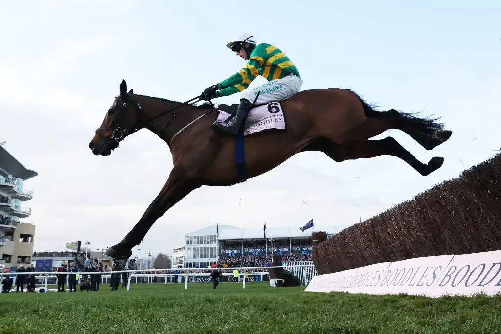 The Gold Cup winner lashed out at the vet (Michael Steele/Getty Images)