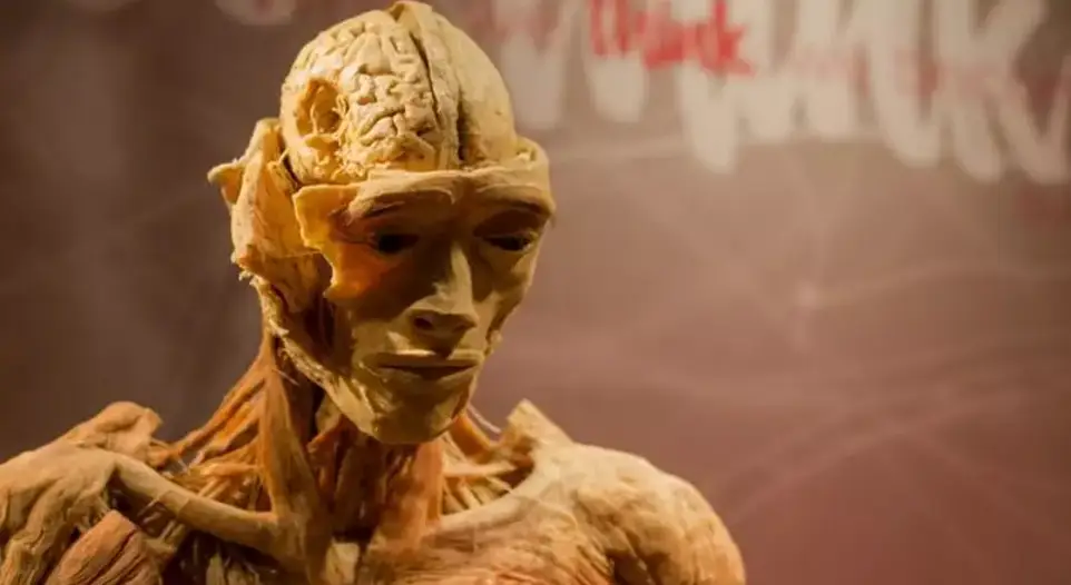 She believes 'The Thinker' in a Real Bodies exhibit is her son, a claim which the museum denies (Change.org)