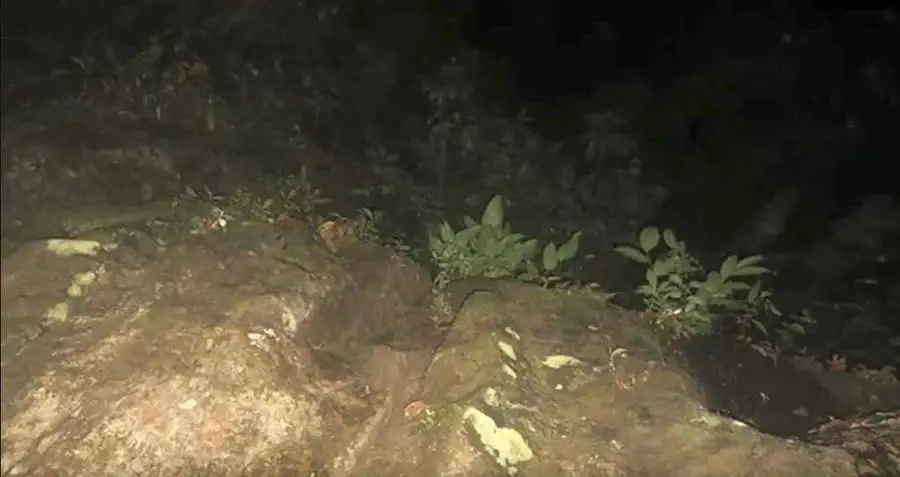 Another bizarre shot. (TVN2)