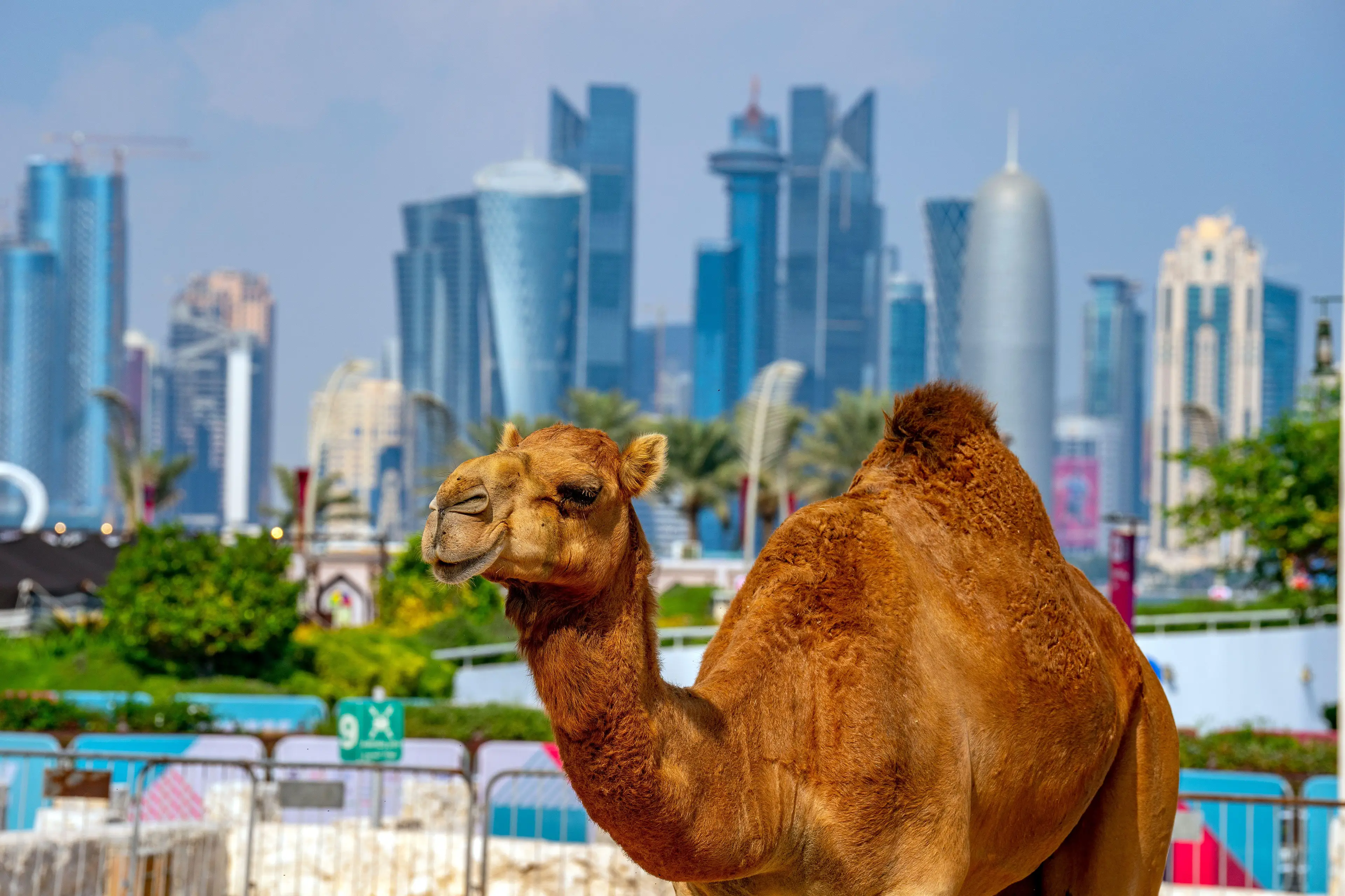 Doctors have been advised to be on the lookout for symptoms.