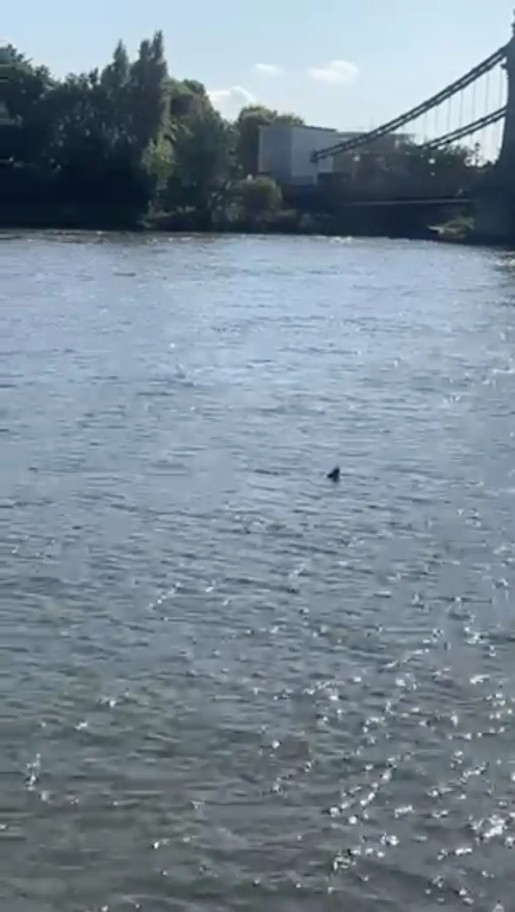 What would you think that is? (Jam Press)