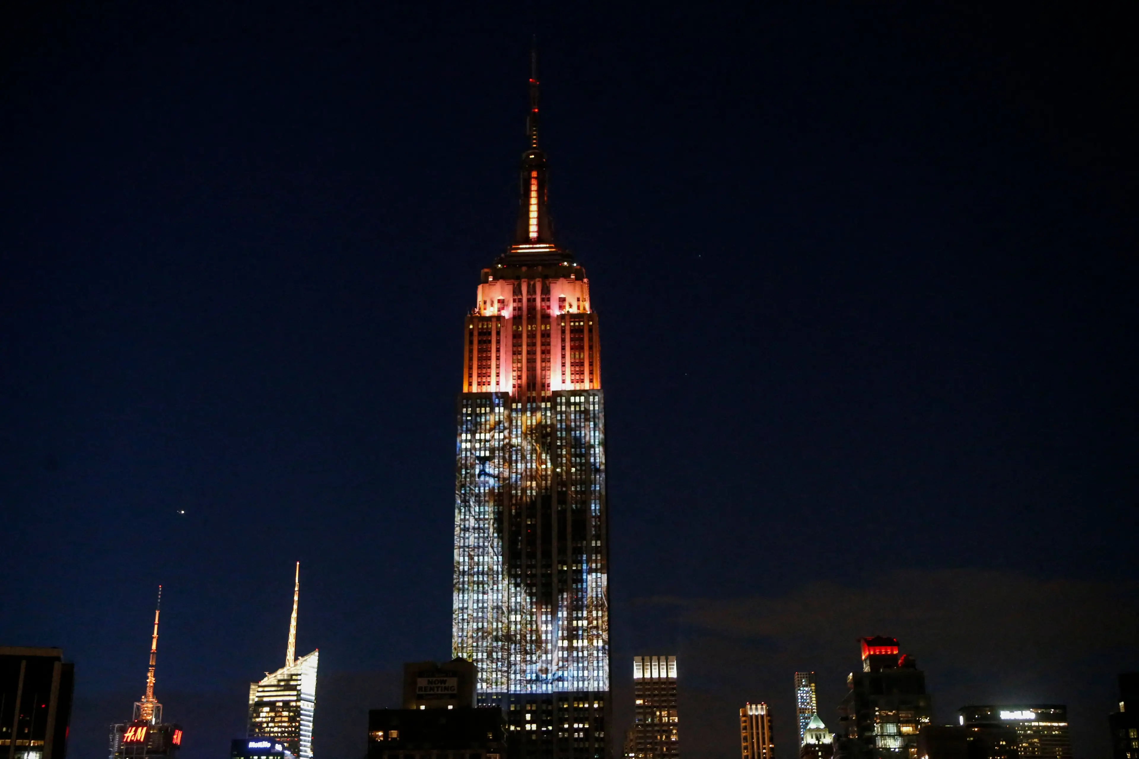 Cecil was projected onto the Empire State Building (KENA BETANCUR/AFP via Getty Images)