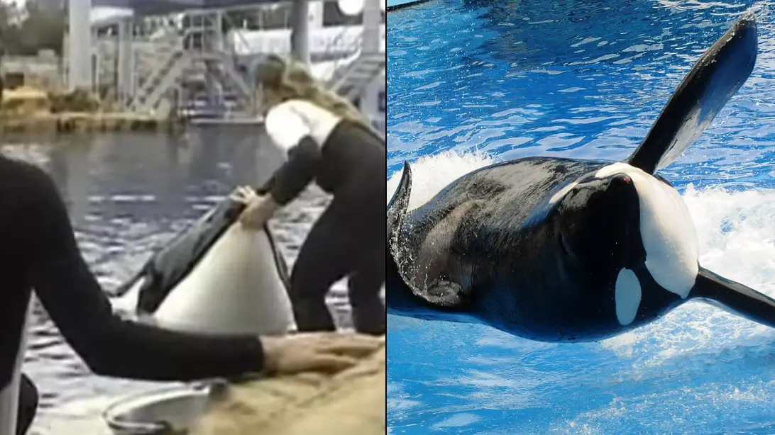 X/Gerardo Mora/Getty Images