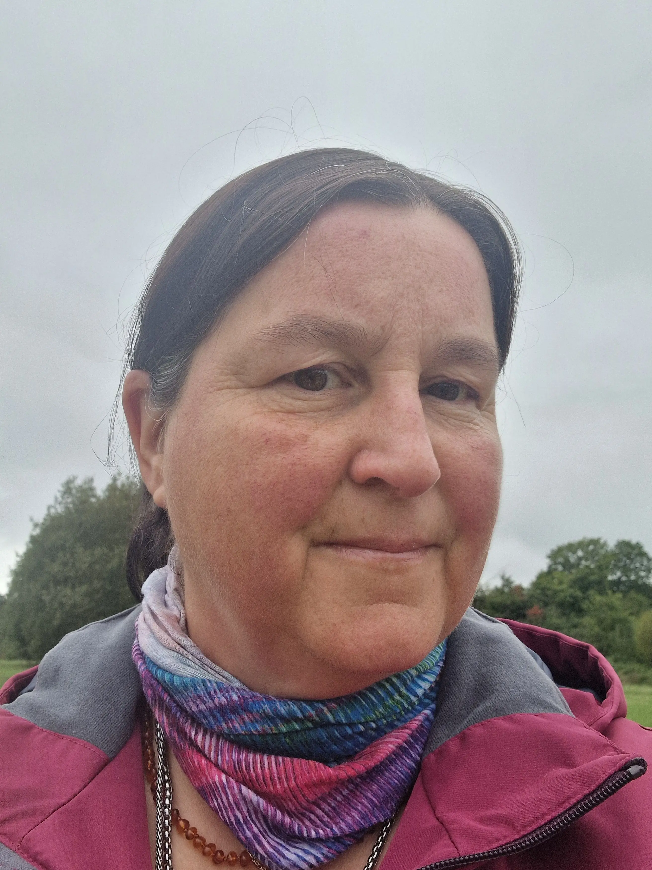 Harriet Ross and her husband David spotted the mysterious objects on a late night dog walk (Kennedy News & Media)