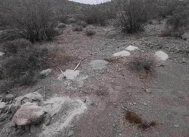 The disturbing discovery was found near the tiny town of Searchlight, Nevada (KLAS)