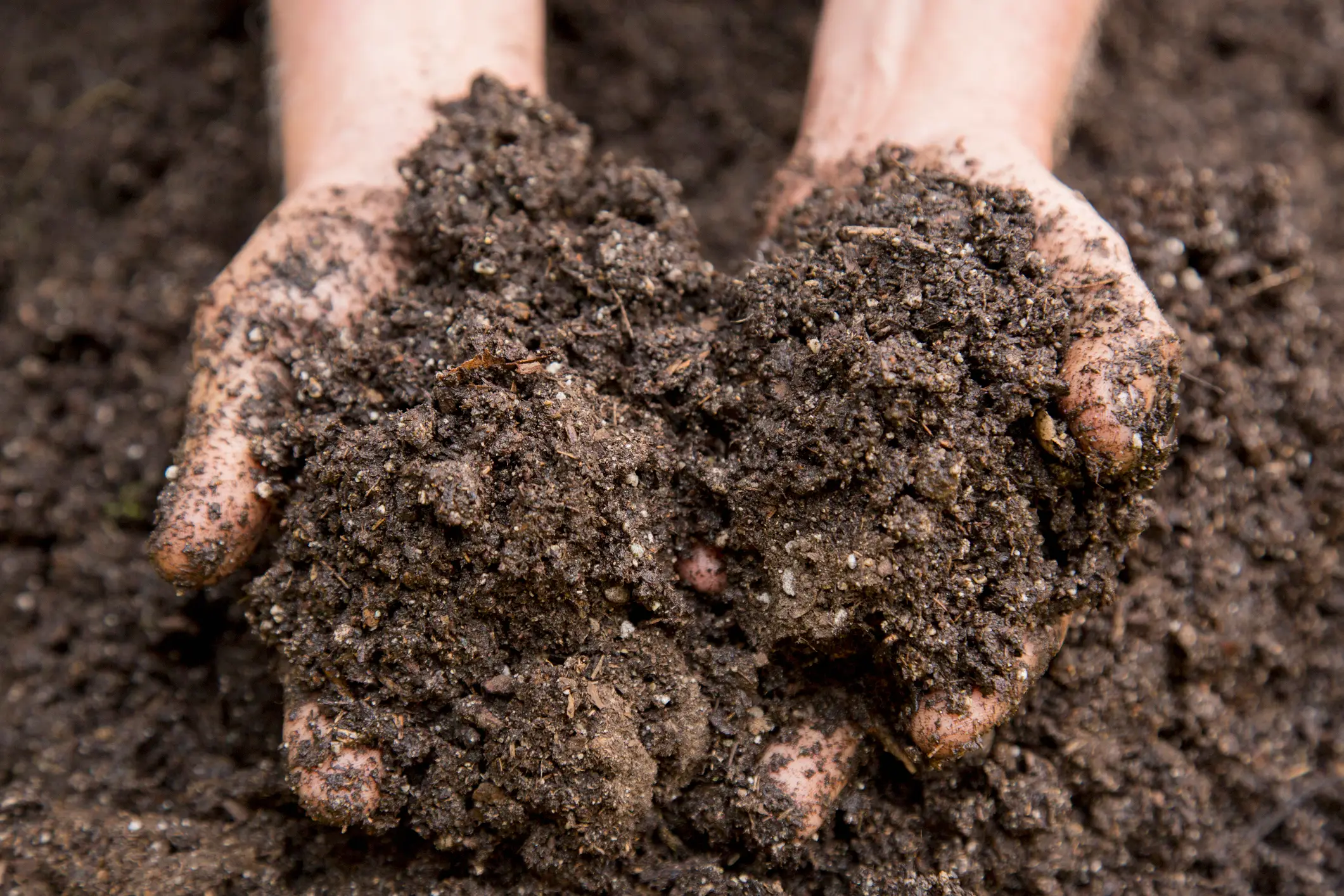 He twice asked for dirt and was twice told no (Getty Stock Photo)