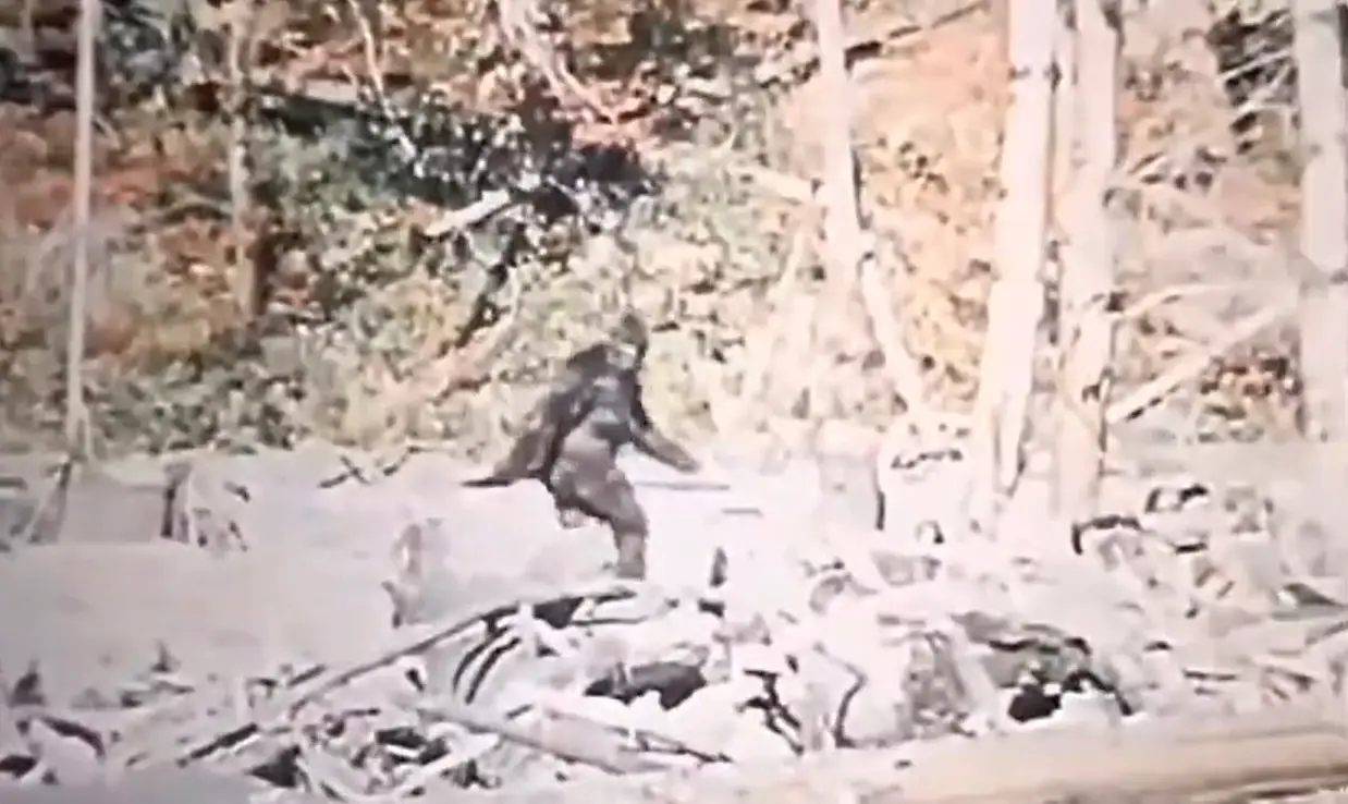The footage of Bigfoot was originally shot in 1967.