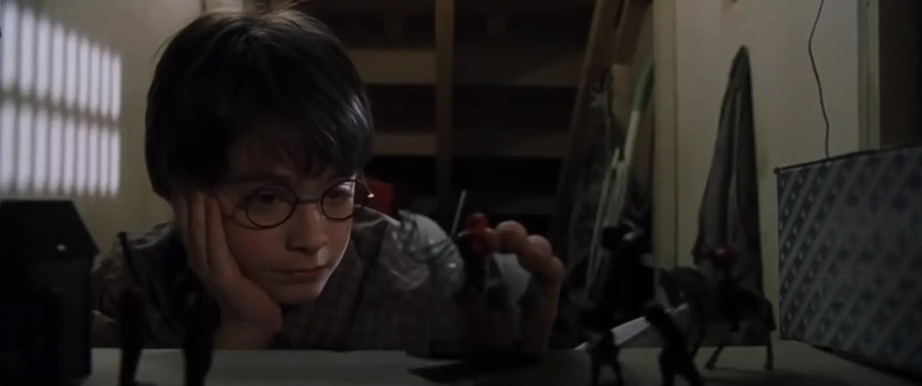 Harry Potter lived in the closet under the stairs at 4 Privet Drive.