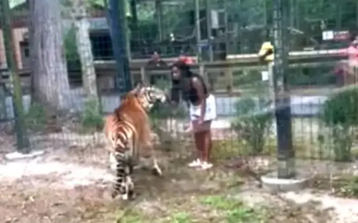 The zoo may now need to re-evaluate the way it operates. (Bridgeton Police Department)