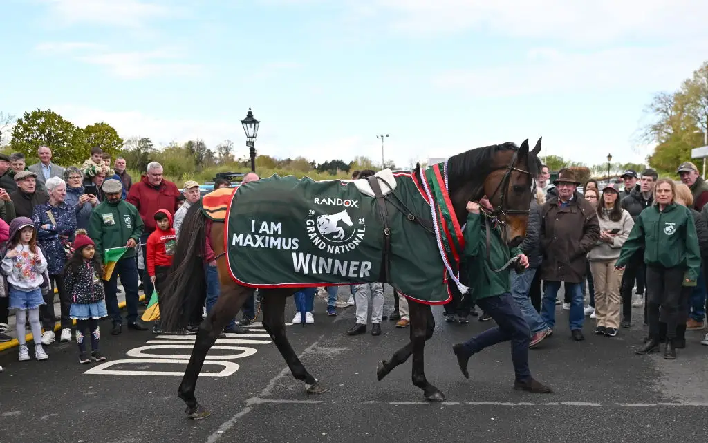 Bookies favourite I Am Maximus is ranked lower down by the supercomputer (Photo By Seb Daly/Sportsfile via Getty Images)