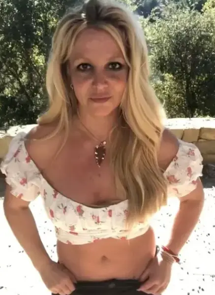 The music star's Instagram page has now disappeared (Instagram/@britneyspears)