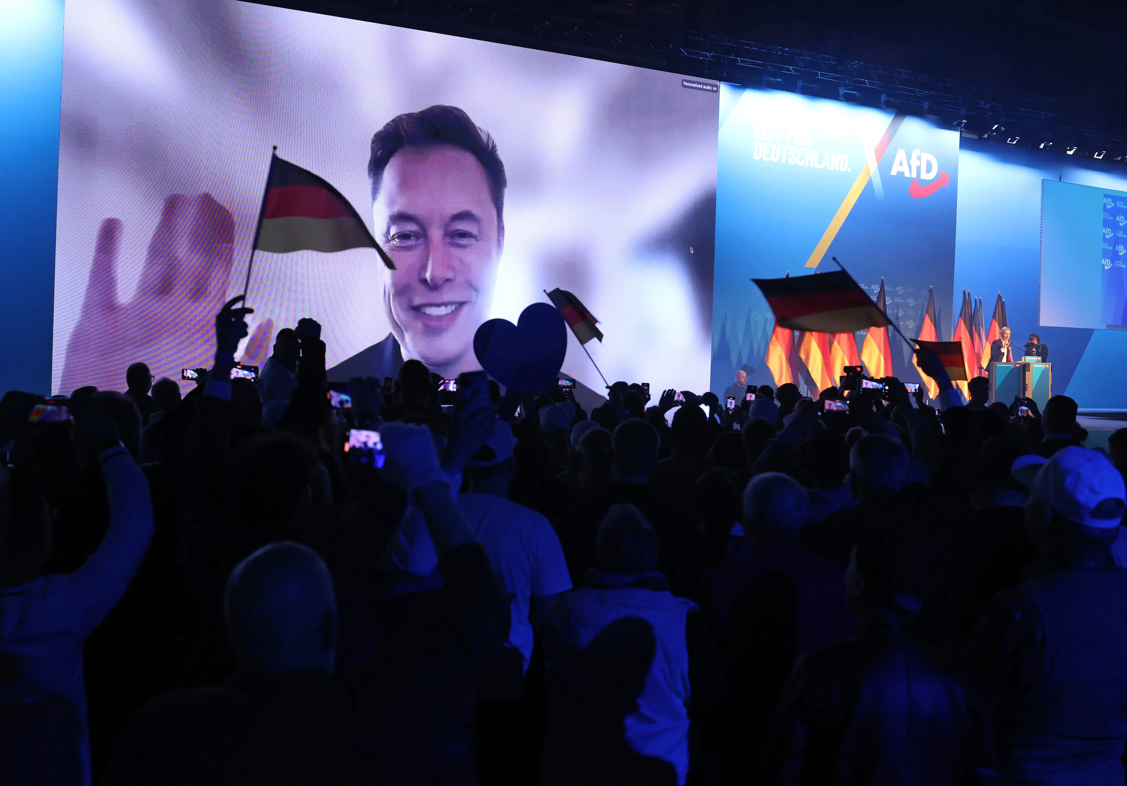 Musk recently addressed the far-right German party AfD (Sean Gallup/Getty Images)