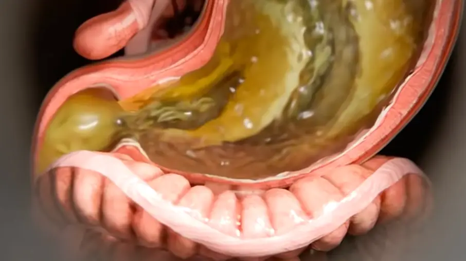 YouTube/Zack D Films