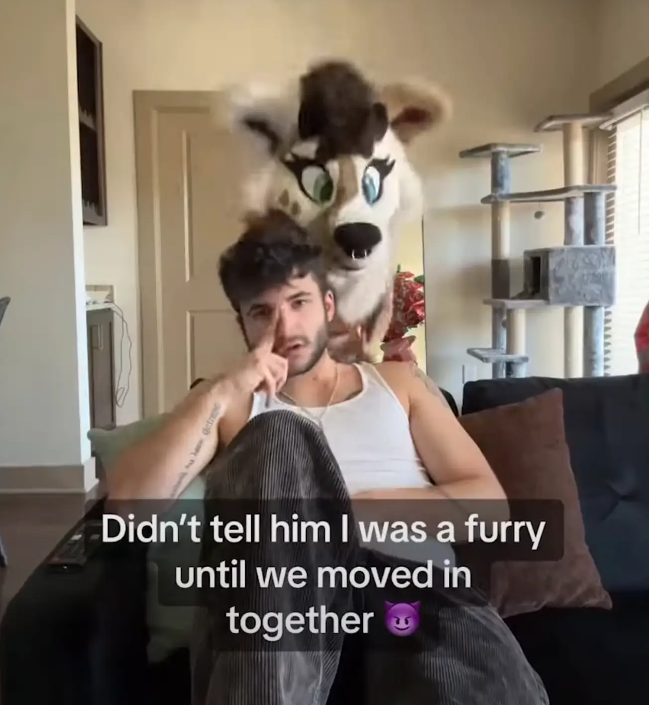 Demetrius and Jade make furry adult content. (TikTok/@jadethefurr)