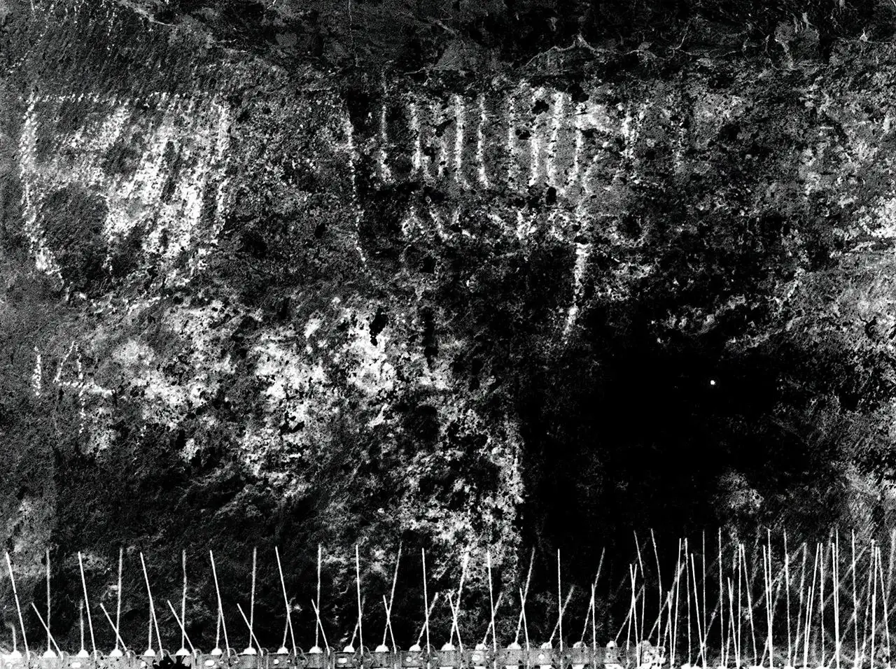 A reconstructed image of the 'Teuffenbach' coat of arms from Styria in the mid-1400s (Shai Halevi / © Israel Antiquities Authority)