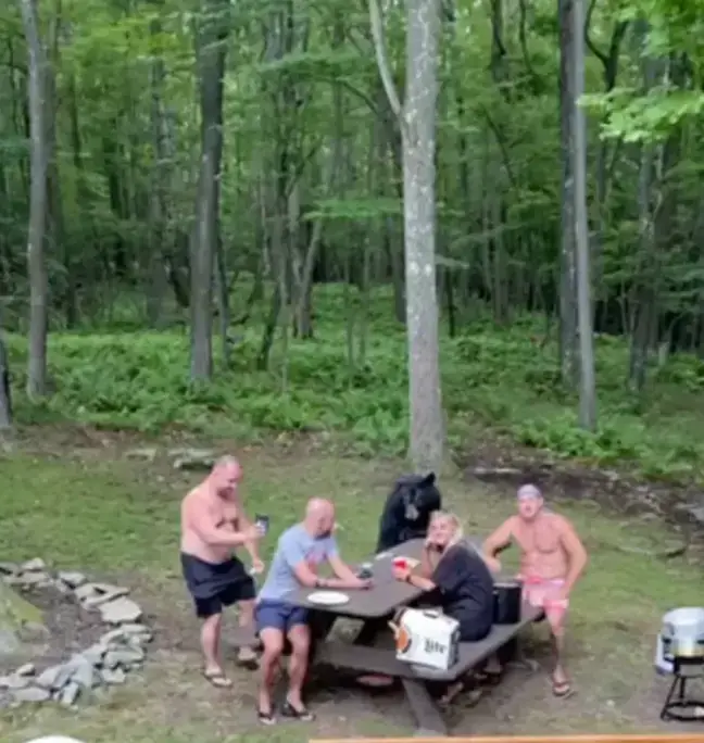 That's a bit close for comfort. Caters/@Kaitlynnesbit