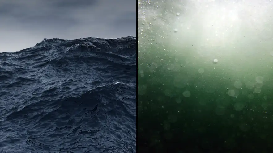 Flavio Coelho / George Pachantouris / Getty