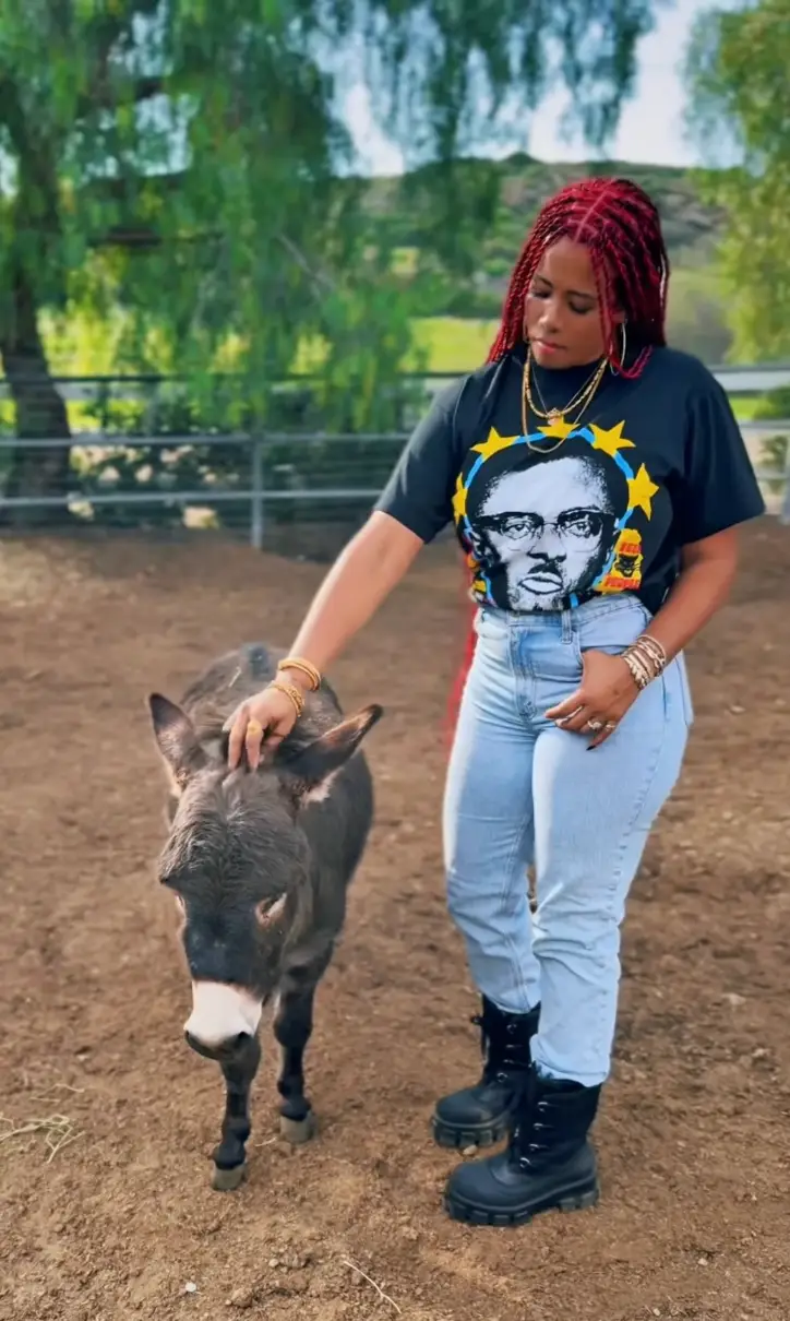 Kelis bought land and moved to Kenya. (Instagram/kelis)
