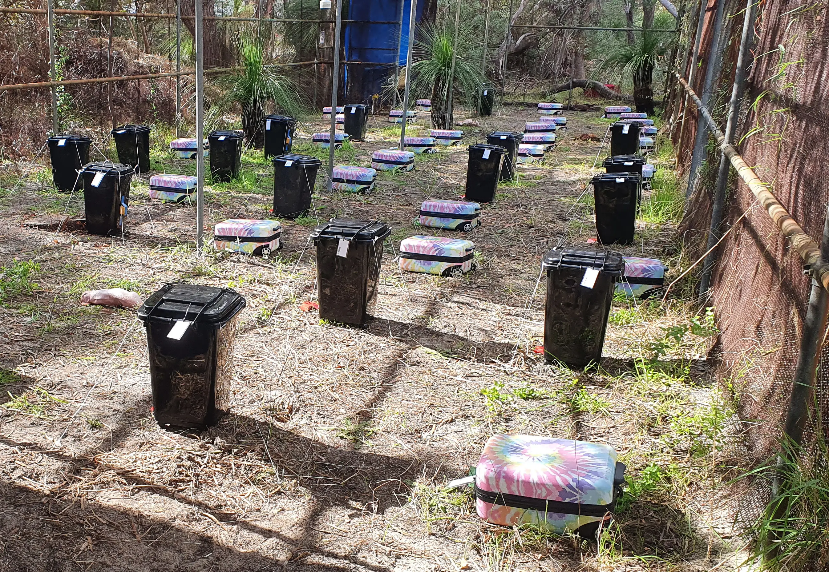 Murderers often hide bodies in enclosed environments, which is why the study is important.