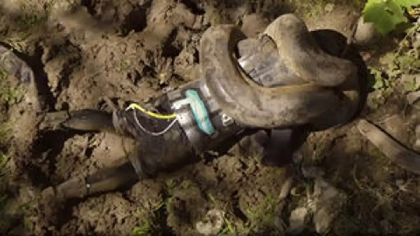 The 20ft long snake latched onto the daredevil's head while wrapping itself around him (Discovery Channel)