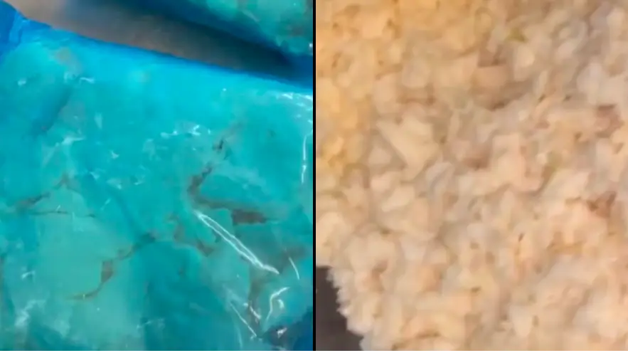 TikTok/@trecylacayenne