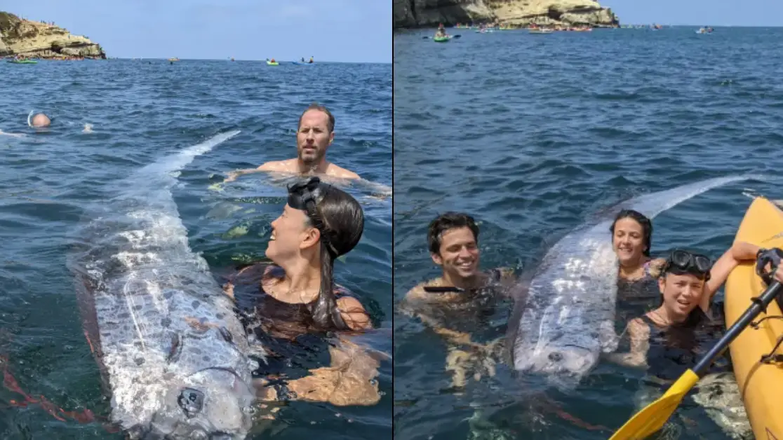 Scripps Institution of Oceanography/Facebook