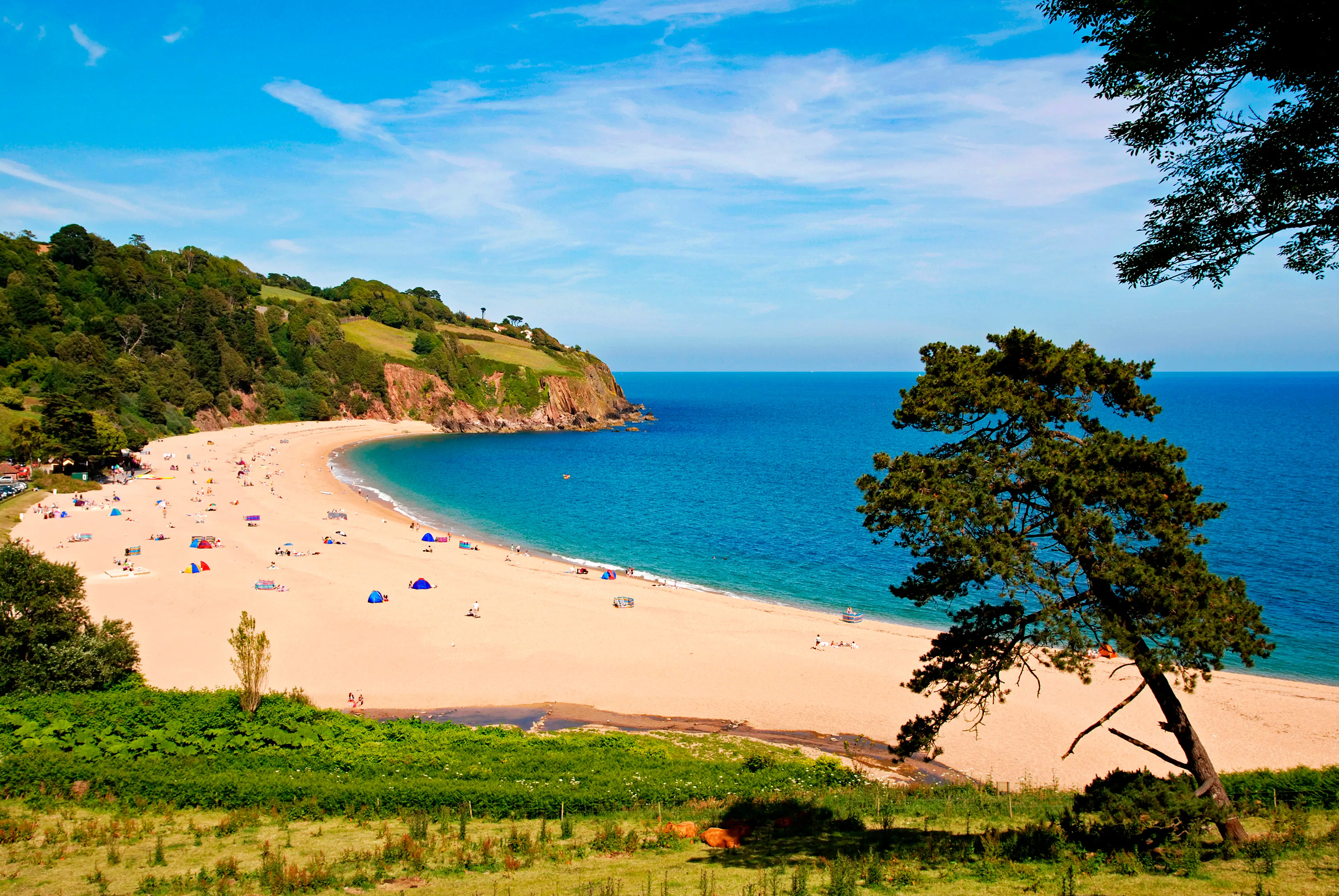 Blackpool Sands in Devon.