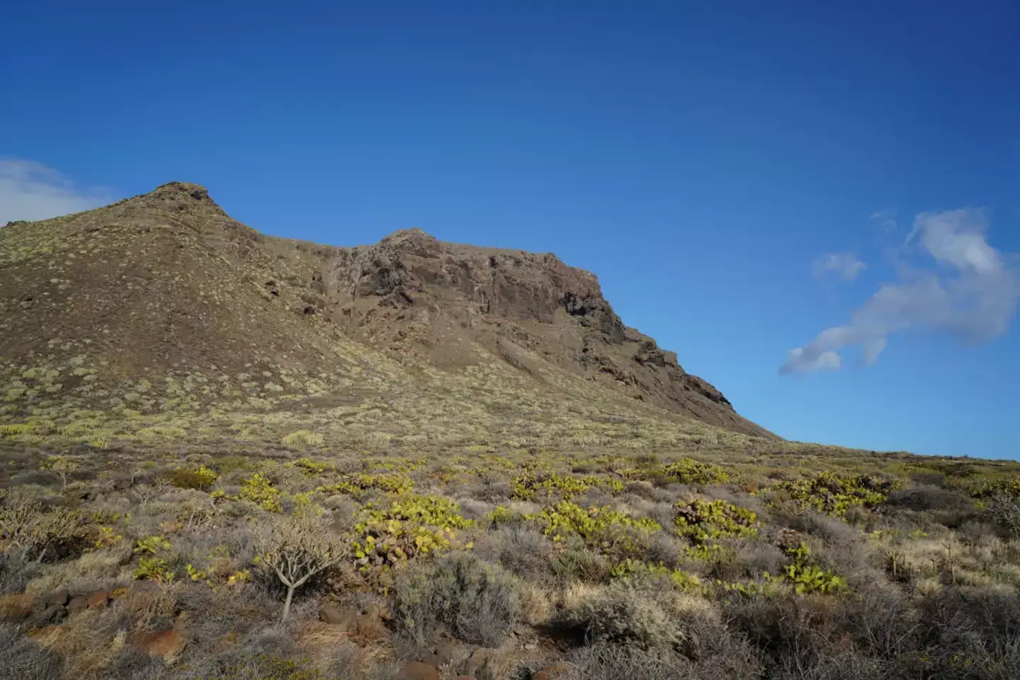 Jay was a 10-hour walk away from his accommodation. (Carlo Morucchio/REDA&CO/Universal Images Group via Getty Images)