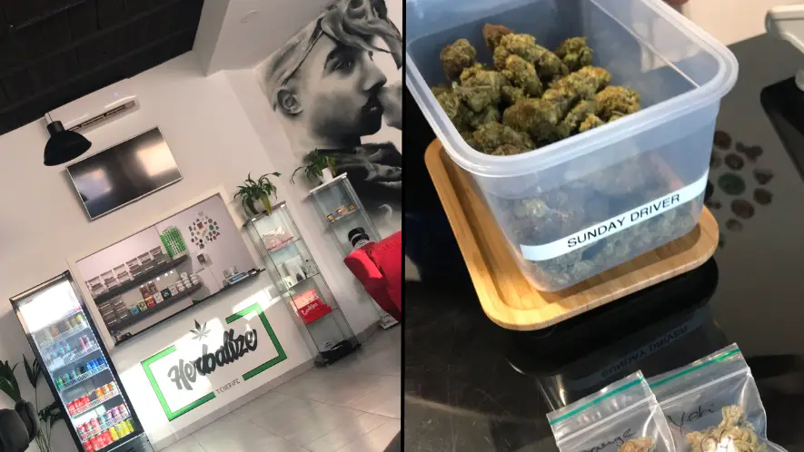 Twitter/@shottatexts