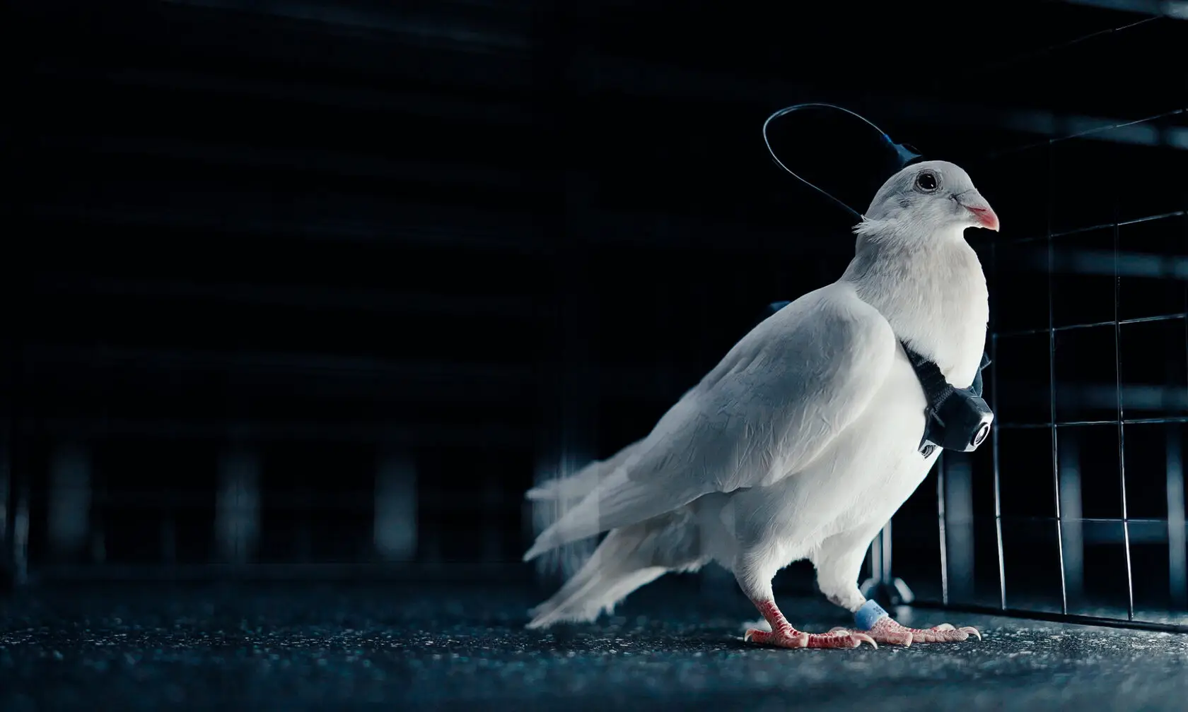 Tech start-up Neiry Group are the masterminds behind brainwashing technology (Neiry)