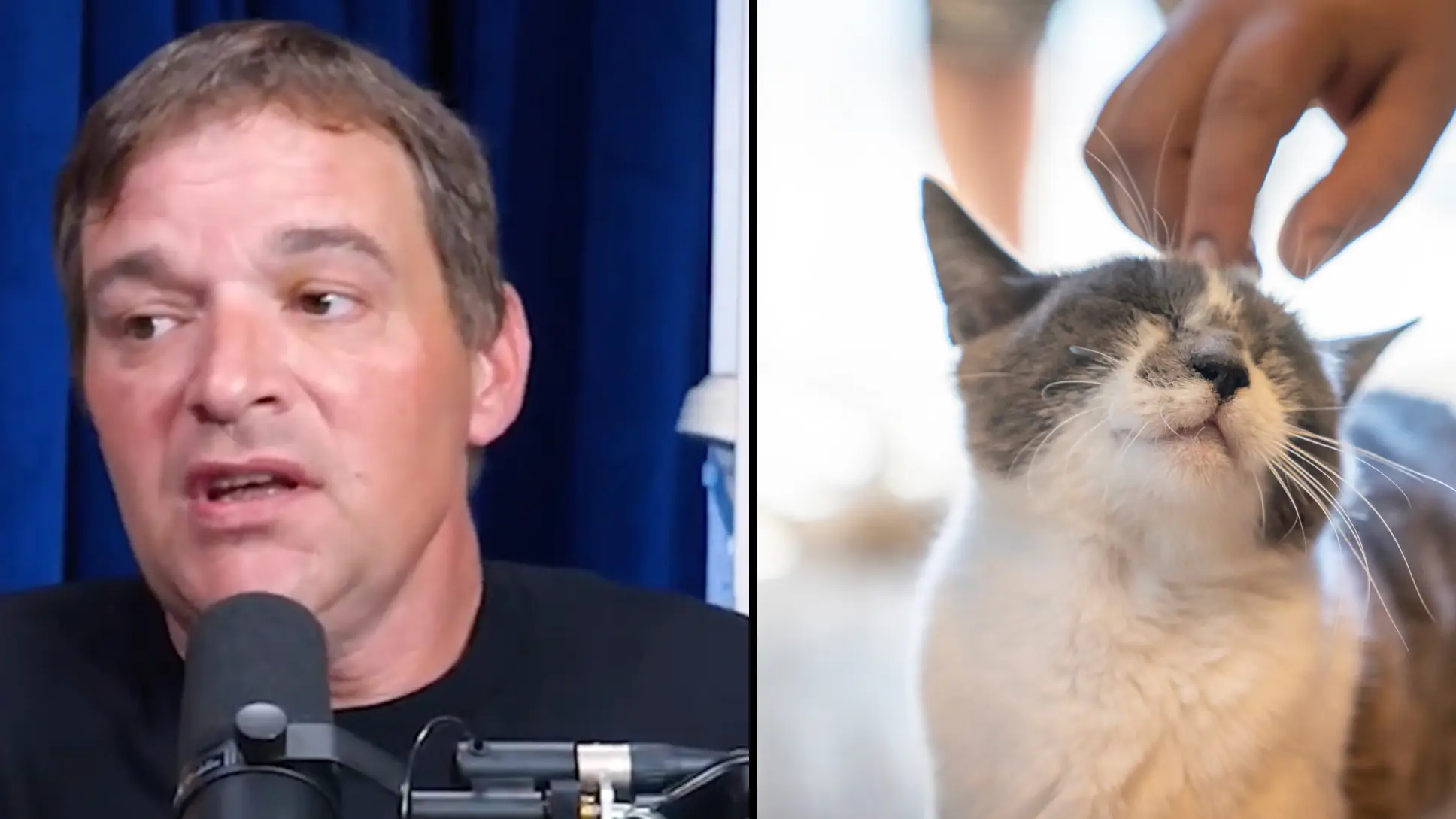 Twitter / @‌TheoVon / Getty Stock Photo