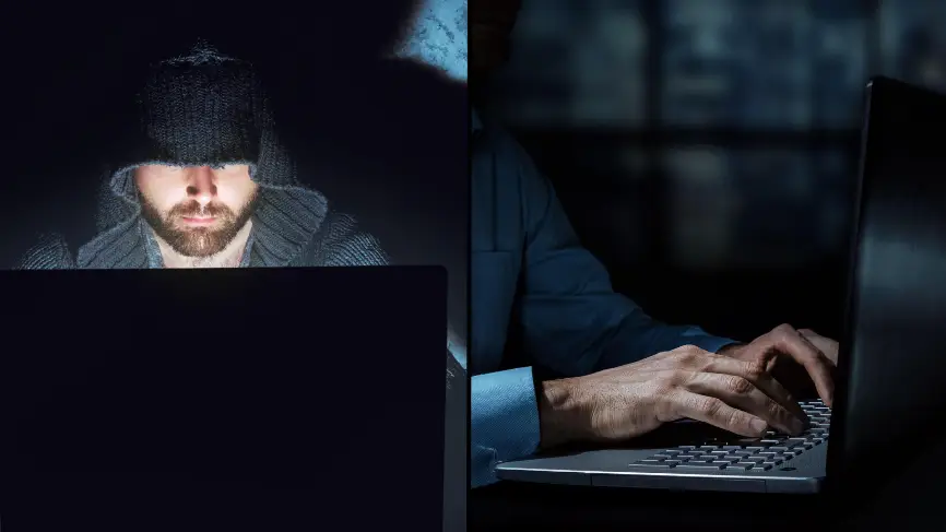 Dmitry Molchanov / ronstik / Alamy Stock Photo