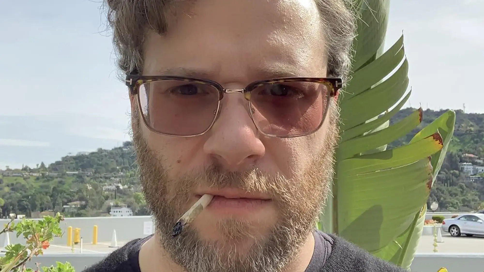 Instagram/@sethrogen