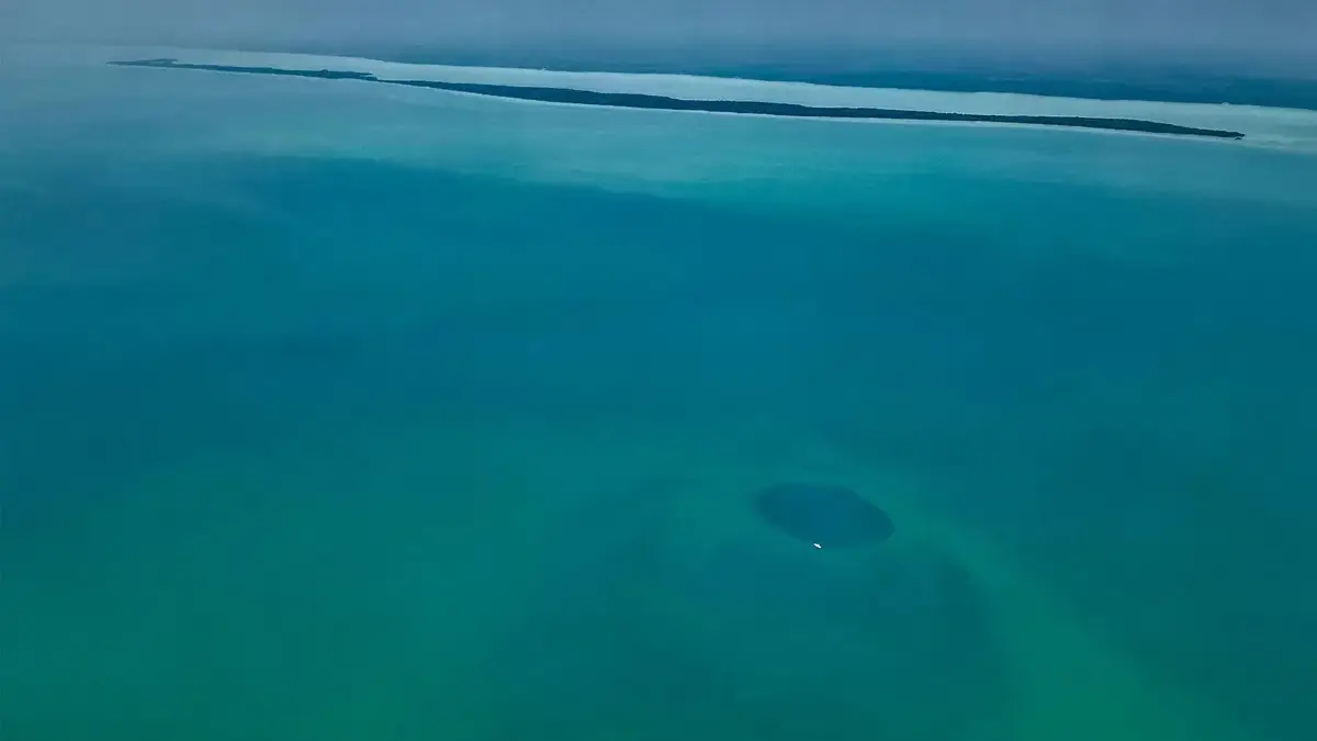 Dr Joan A. Sánchez-Sánchez/ECOSUR