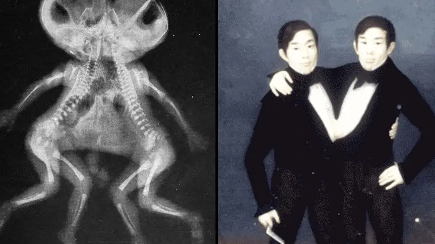 Mae M. Bookmiller/Wikimedia Commons/Public Domain / CatherineMunro/Wikimedia Commons/Public Domain